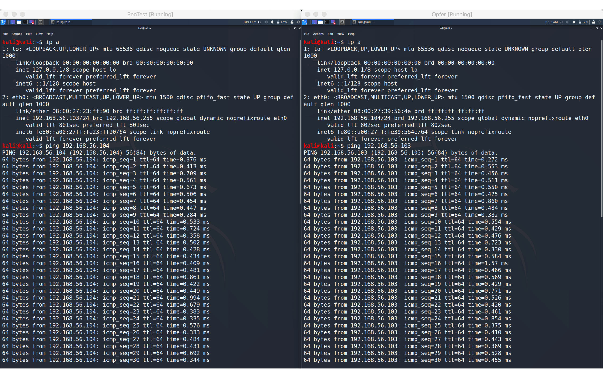 VirtualBox screenshot showing two virtual machines communicating via host-only network adapter