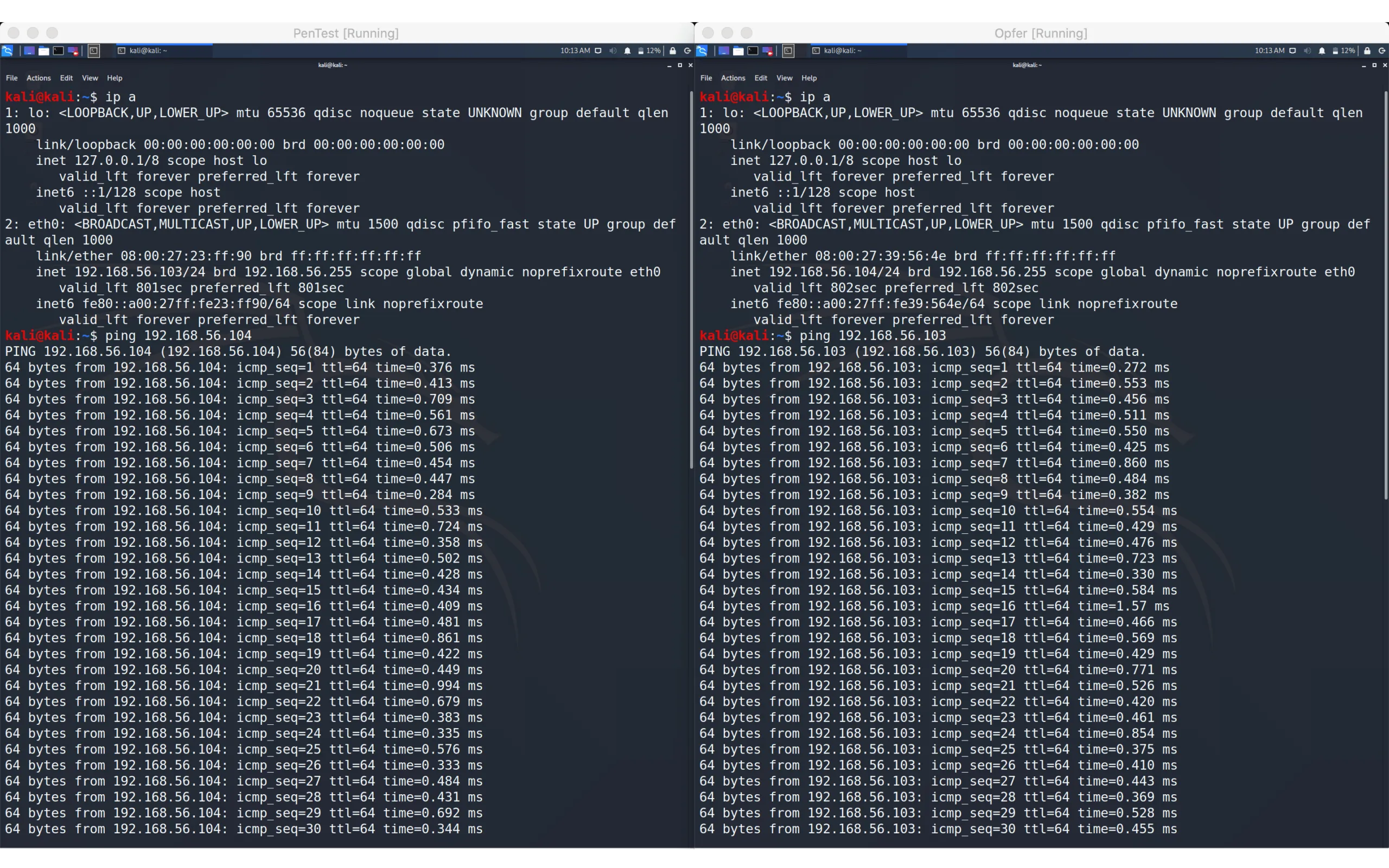 VirtualBox screenshot showing two virtual machines communicating via host-only network adapter